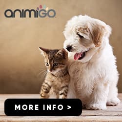 Ad Banner