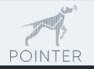 Pointer Leads