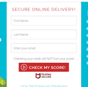 Identity IQ Credit Essentials
